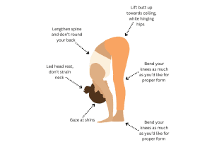 Standing forward fold image.