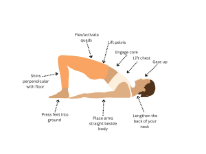 Bridge pose image.