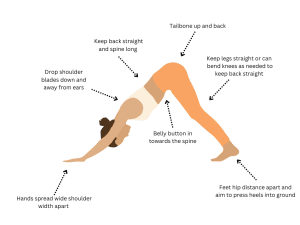 Downward facing dog image.