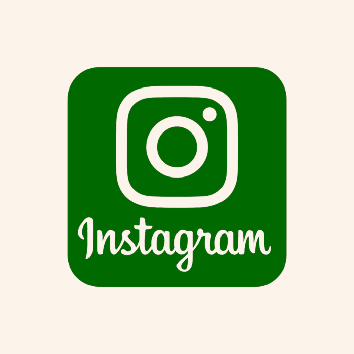 instagram beige icon